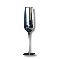 Champagne Glass Silver