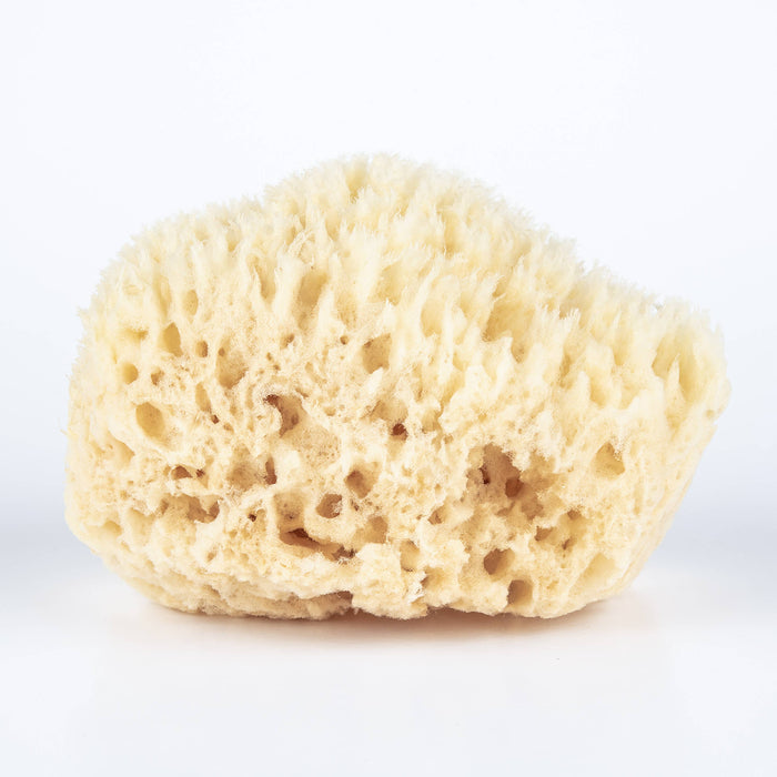 Bath Sea Sponge Bulk - Small 4.5"