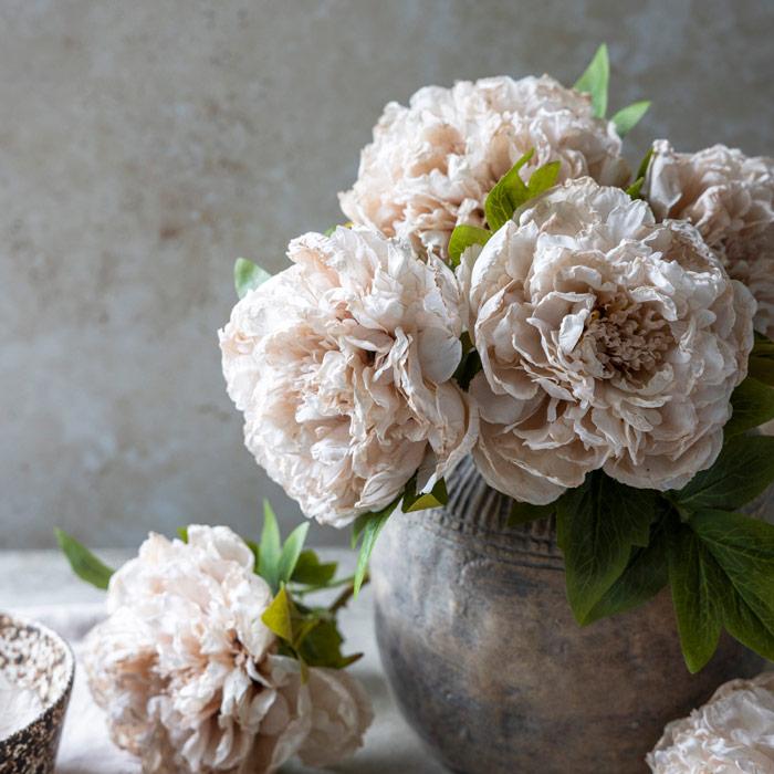 PEONY EVENING DEW - Abigail Ahern