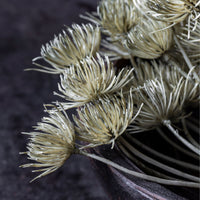ARTIFICIAL ANGELICA HAZE - Abigail Ahern