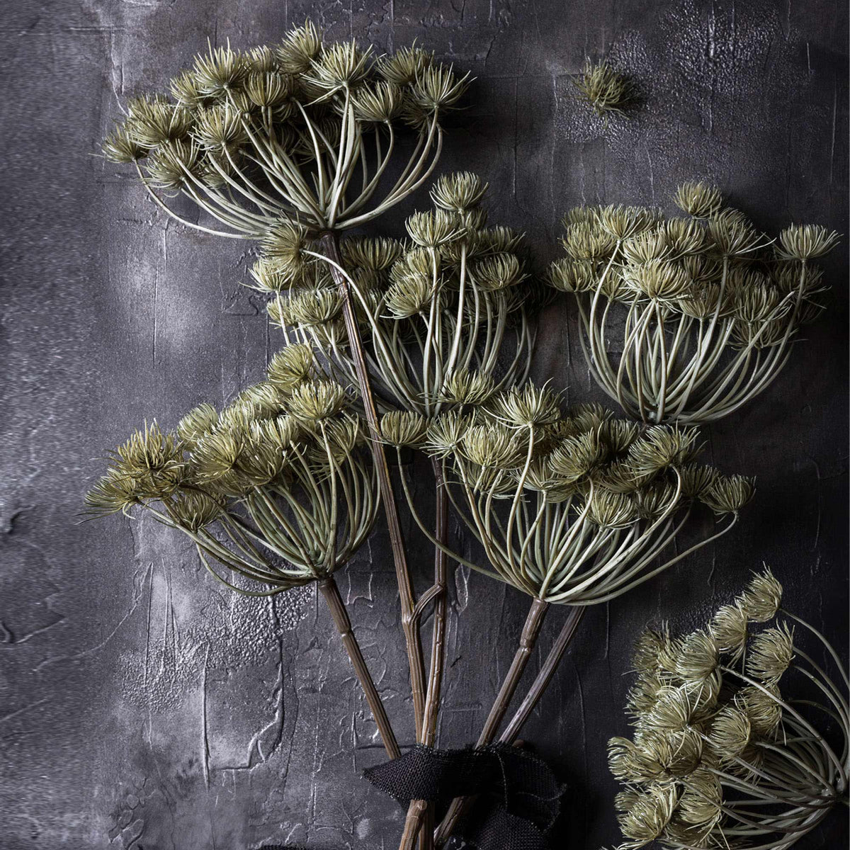 ARTIFICIAL ANGELICA HAZE - Abigail Ahern