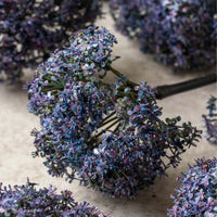 ARTIFICIAL TRACHELIUM MAUVE - Abigail Ahern